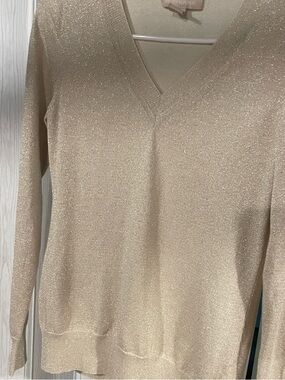 Banana Republic Champagne Shimmer V-Neck Sweater